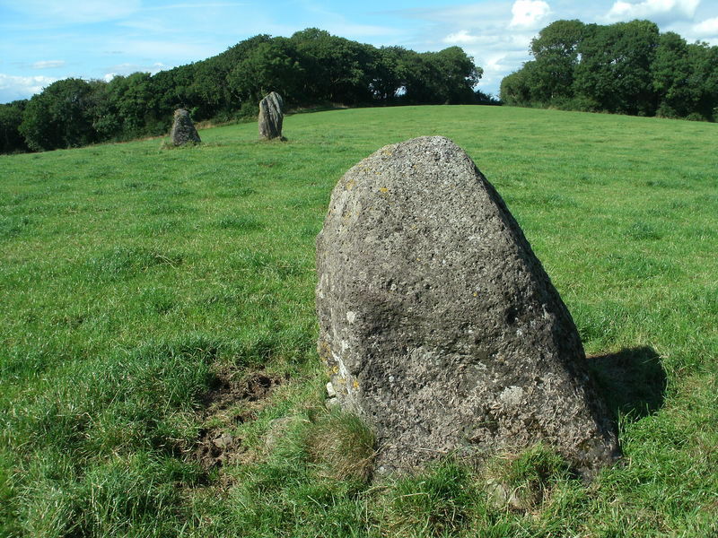 Meinillwydion Stone Pair