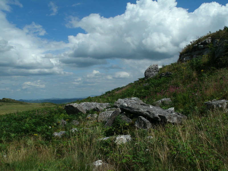 Mynydd Llangynderyrn Burial Chambers