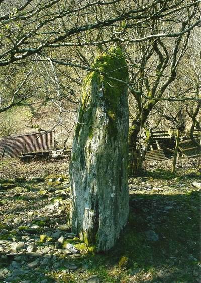 Ty Newydd Standing Stone (PID:108151) Ty Newydd Standing Stone