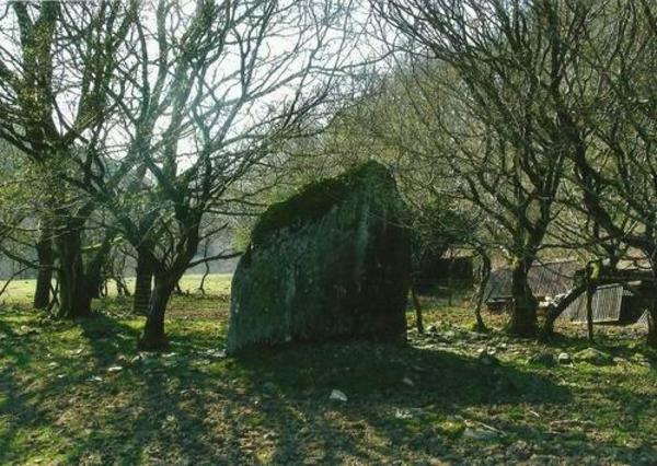 Click for full size image of Ty Newydd Standing Stone (PID:108152) Ty Newydd Standing Stone