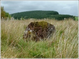 Click for full size image of Cwm Henwen (PID:9042) Cwm Henwen