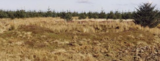 Crugiau Edryd - PID:3886