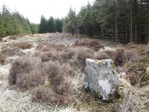 Esgair Nant-y-Maen cairn - PID:57581