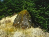 Mynydd Myddfai Stones