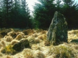 Mynydd Myddfai Stones