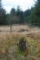 Click for full size image of Cwm Henwen (PID:135200) Cwm Henwen