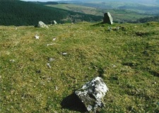 Cerrig Cynant - PID:102784