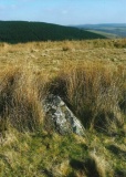 Cerrig Cynant - PID:102786