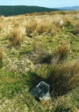 Cerrig Cynant - PID:102788