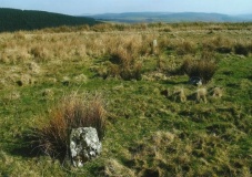 Cerrig Cynant - PID:102789