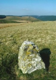 Garreg Garn Fair - PID:109049