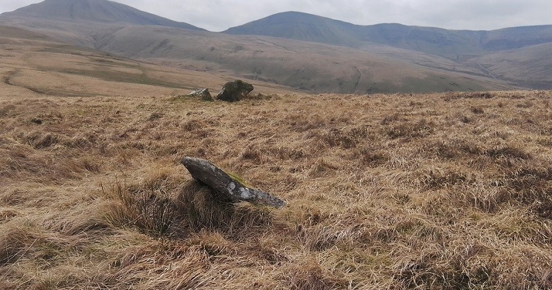 Click for full size image of Bannau Sir Gaer (PID:256485) Bannau Sir Gaer
