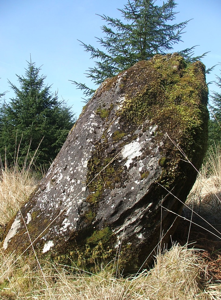 Mynydd Myddfai Stones