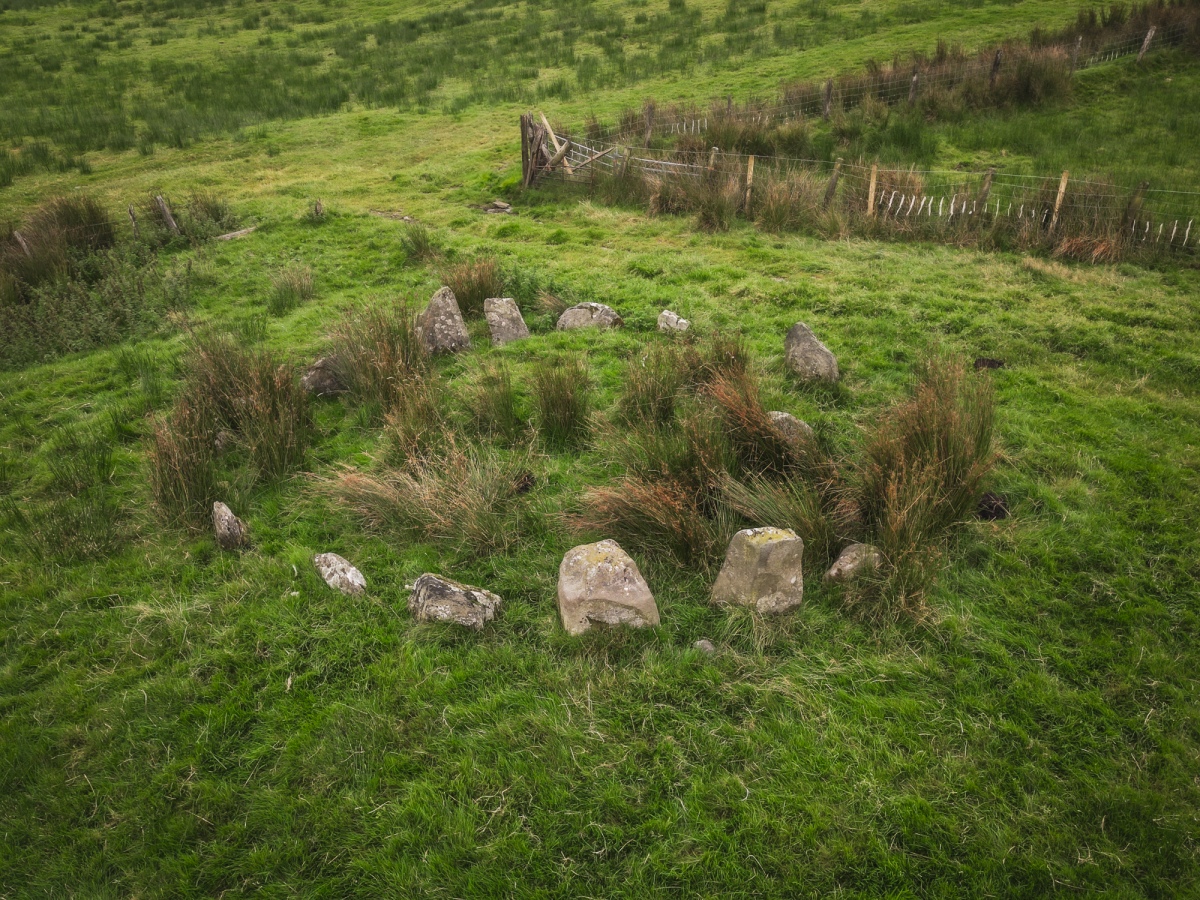 Click for full size image of Hirnant (PID:276833) Hirnant