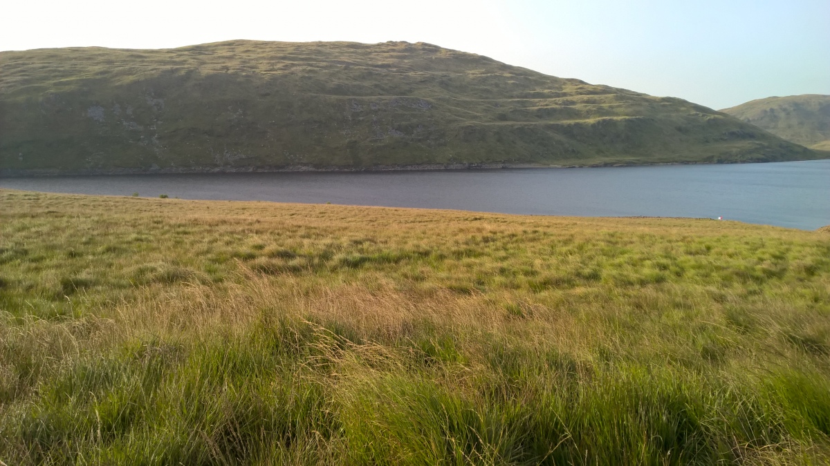 Click for full size image of Nant Maesnant Fach Round Cairn (PID:263770) Nant Maesnant Fach Round Cairn