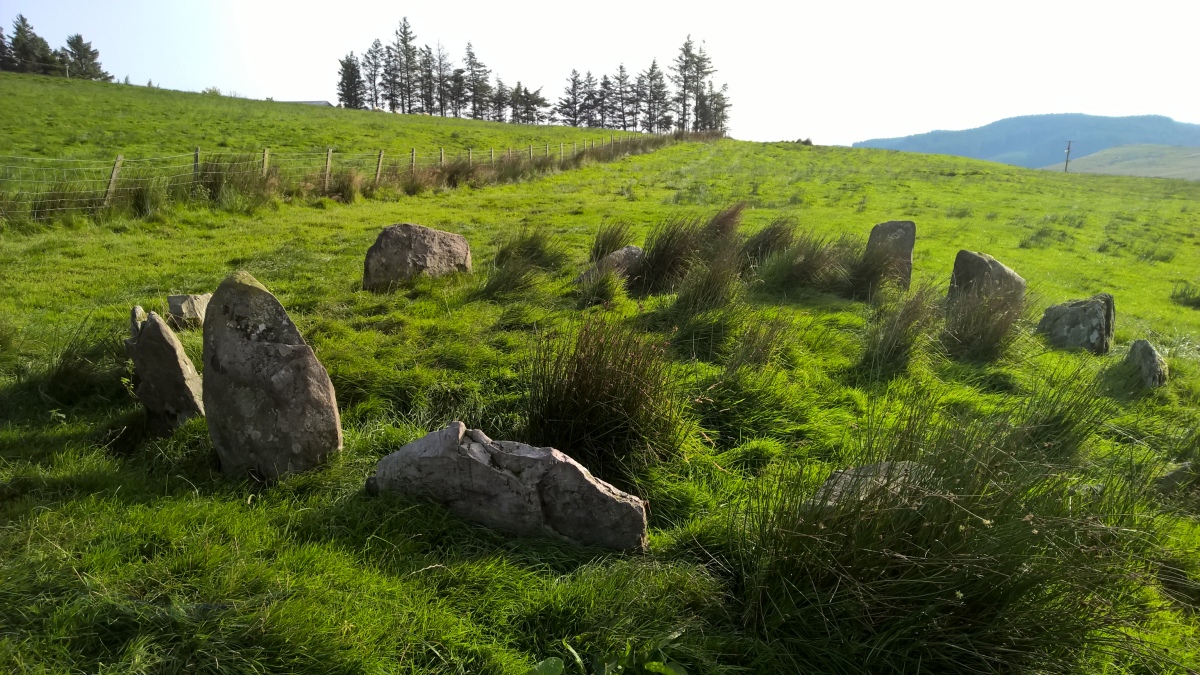 Click for full size image of Hirnant (PID:263782) Hirnant