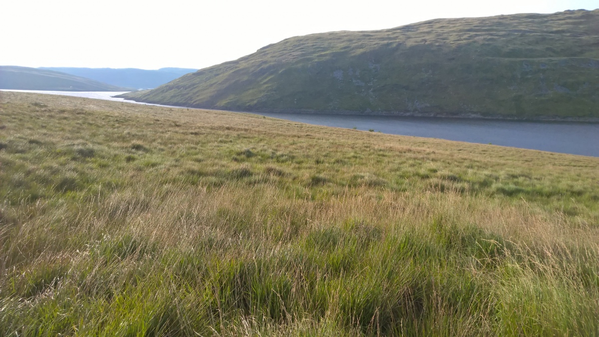 Click for full size image of Nant Maesnant Fach Round Cairn (PID:263772) Nant Maesnant Fach Round Cairn