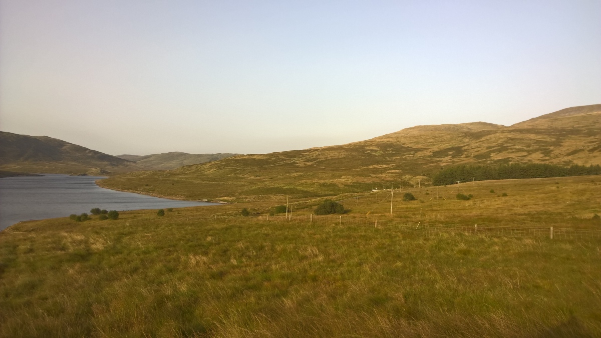 Click for full size image of Nant Maesnant Fach Round Cairn (PID:263773) Nant Maesnant Fach Round Cairn