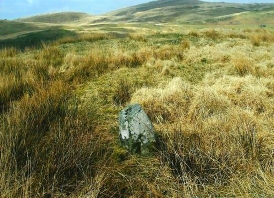 Click for full size image of Garn Lwyd Standing Stone (PID:108966) Garn Lwyd Standing Stone