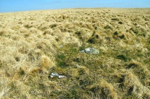 Bryn y Gorlan Coflein says - Stone Setting - 'A discontinuous ring of upright, or leaning slabs, defining an irregular area, c.1.5m across; a low mound on the E is thought to be a spoil heap from a robbing episode', It's found a few yards SW of the broken standing stone.