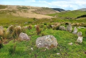 Click for full size image of Hirnant (PID:273113) Hirnant