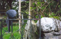 Ysbyty Cynfyn - PID:43832