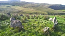 Click for full size image of Hirnant (PID:263786) Hirnant