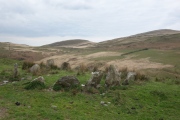 Click for full size image of Hirnant (PID:240516) Hirnant