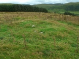 Moel y Llyn stone circle