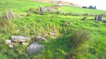 Click for full size image of Hirnant (PID:263783) Hirnant