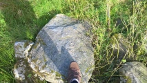 Click for full size image of Hirnant (PID:263784) Hirnant