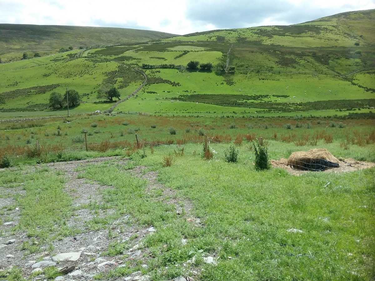 Caer Garn Cairn and Round Barrow