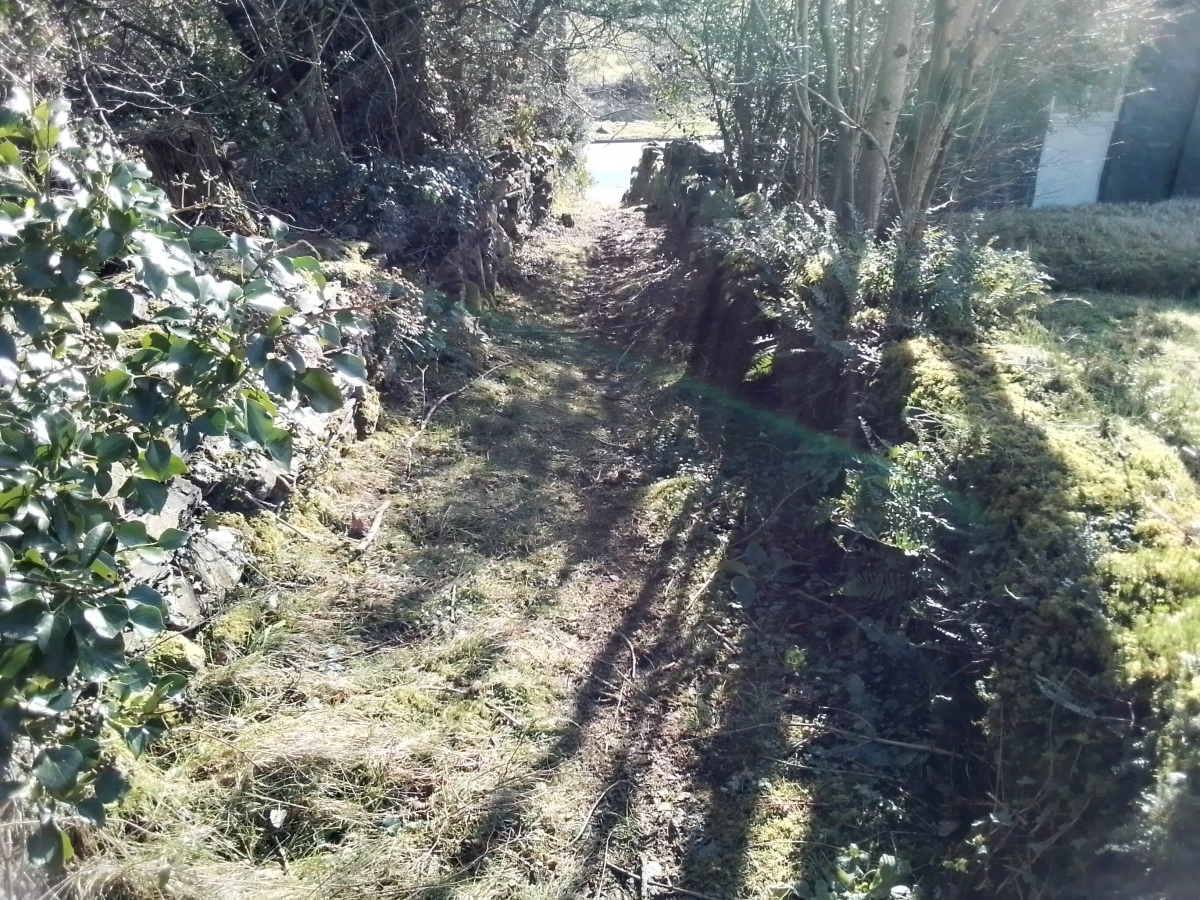 Dolwyddelan Ancient Trackway