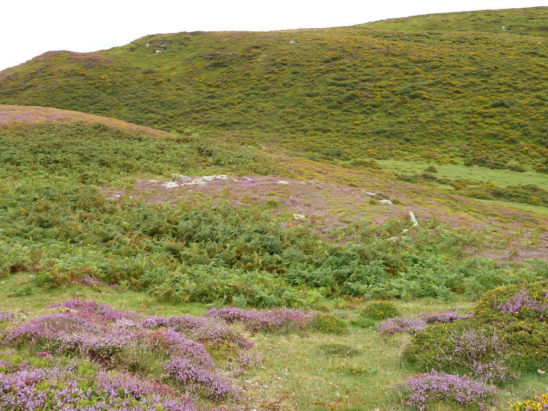 Llyn-y-Wrach