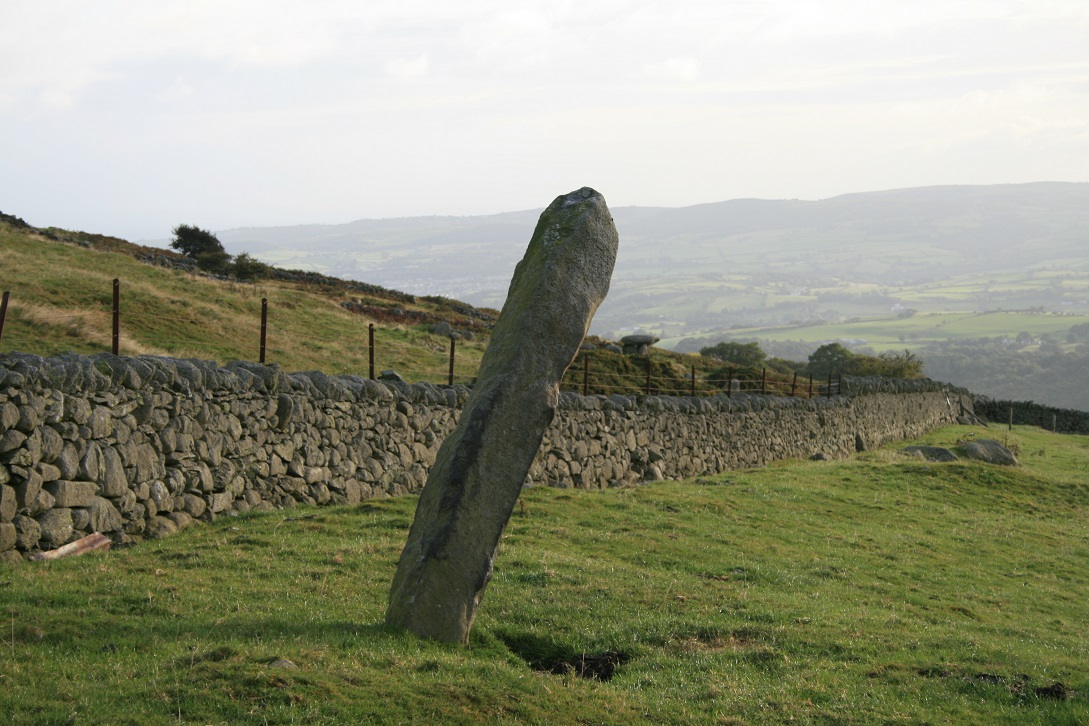 Click for full size image of Ffon-y-Cawr (PID:139973) Ffon-y-Cawr
