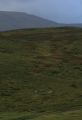 Click for full size image of Circle 275 (PID:143527) Circle 275