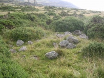 Barclodiad-y-Gawres (Conwy) - PID:8785