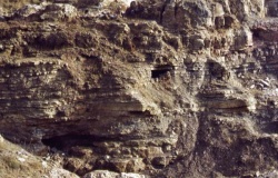 Great Orme mine - PID:2379