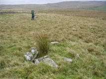 Hafod y Dre - PID:10364