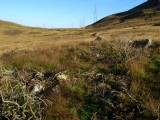 Barclodiad-y-Gawres (Conwy)