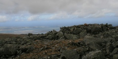 Click for full size image of Drosgl (PID:106644) Drosgl