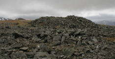 Click for full size image of Drosgl (PID:106643) Drosgl