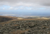 Click for full size image of Drosgl (PID:106641) Drosgl
