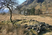 Cwm Dyli North settlement