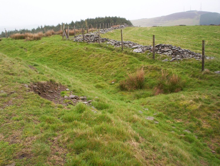 Buarth y Gaer (PID:27605) Buarth y Gaer