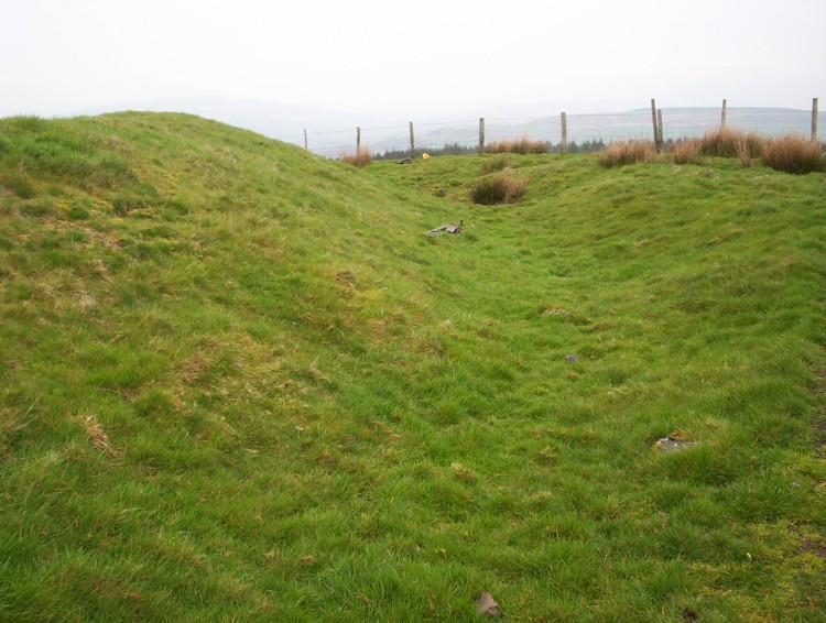 Click for full size image of Buarth y Gaer (PID:27606) Buarth y Gaer