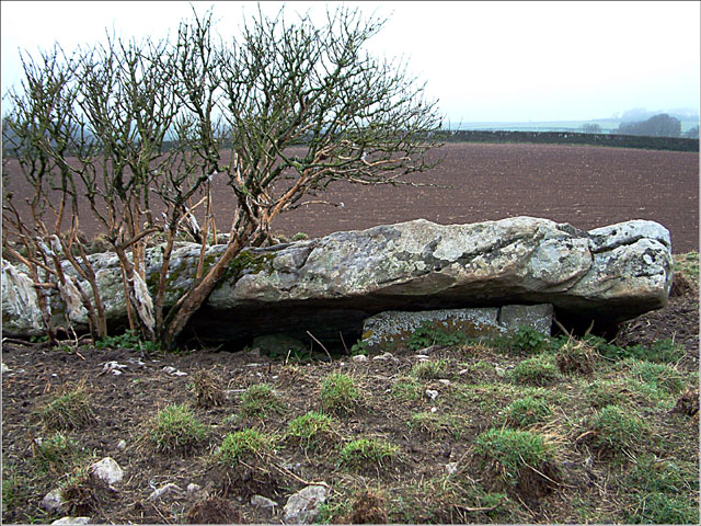 Tythegston (PID:5776) Tythegston