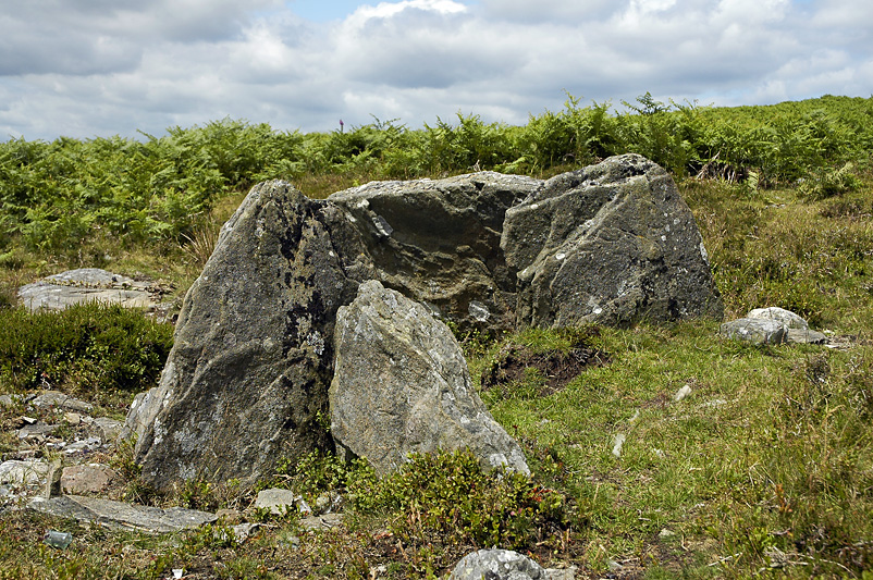 Graig Fawr