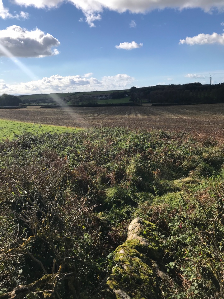 Click for full size image of Tythegston (PID:218310) Tythegston