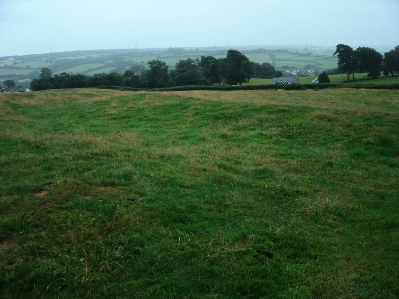 Mynydd Y Fforest Enclosure